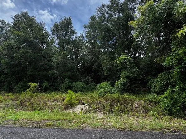 00 SE 115TH PLACE RD. LOT 2, OCKLAWAHA, FL 32179