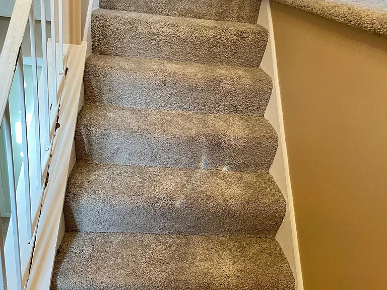 1342 Arden View Dr — Photo 2
