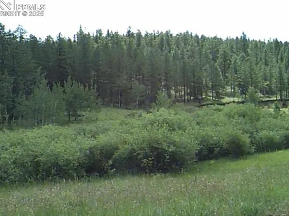 3116 County Road 33, Florissant, CO 80816
