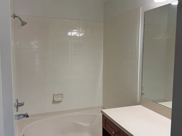 11719 Crest Creek Dr — Photo 4