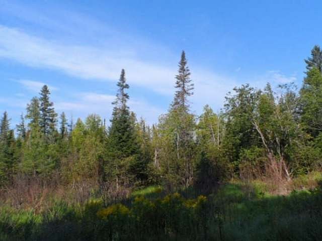 2nd image of Old Highway 45