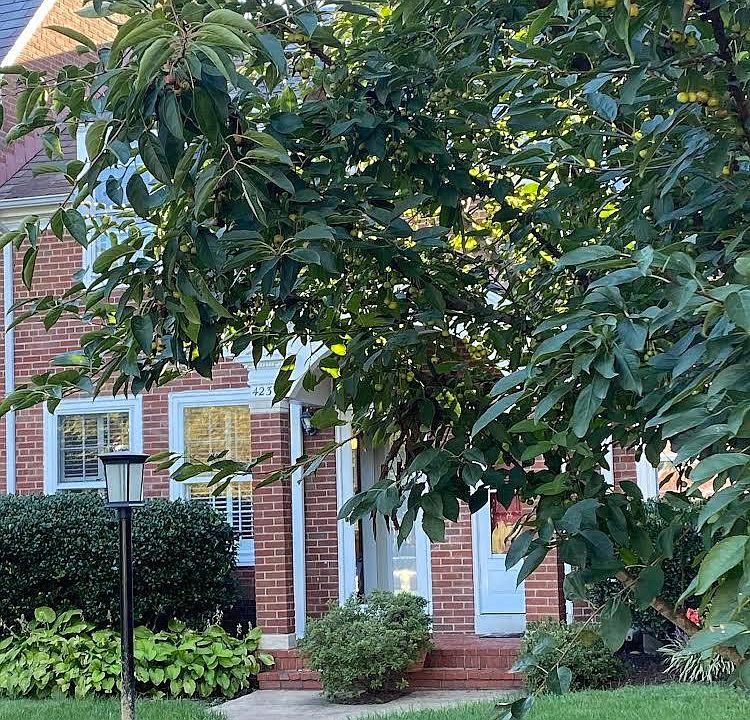 Front door to Fairlington Meadows Court #8, Unit #4239