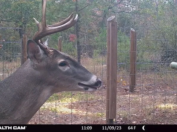 County Road 3390, Winnsboro, TX 75494