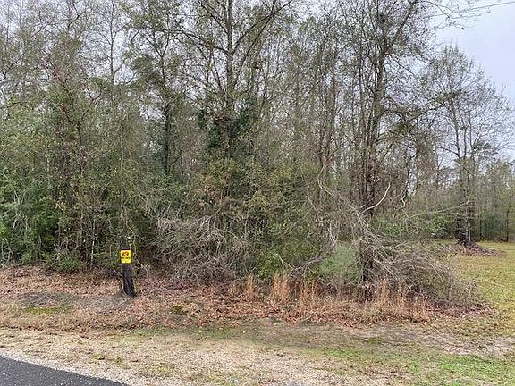 3rd image of Robin Ln