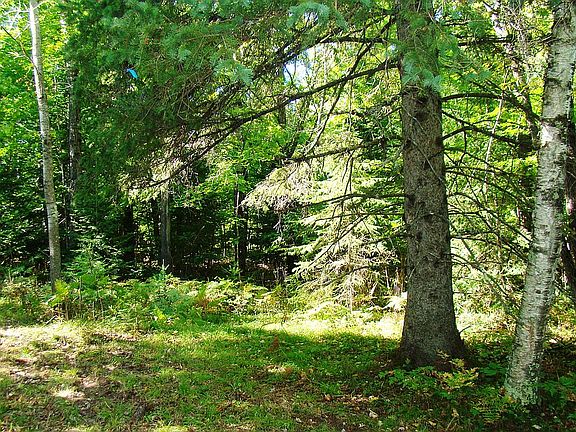 2nd image of 105 McNutt Lake Ln