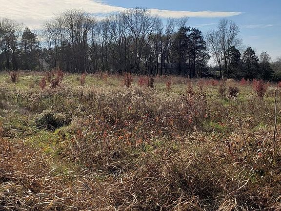 3rd image of LOT 7 Michael Ryan Dr