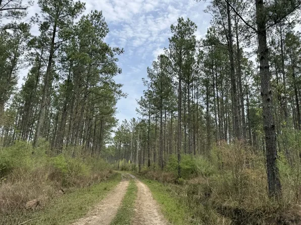 0 Highway 15 S, Ovett, MS 39464