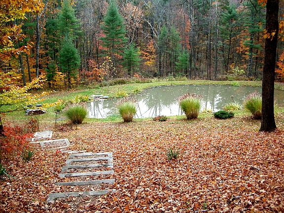 Natural pond seen from deck