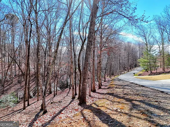 0 Rome Beauty Ln #1106, Clarkesville, GA 30523