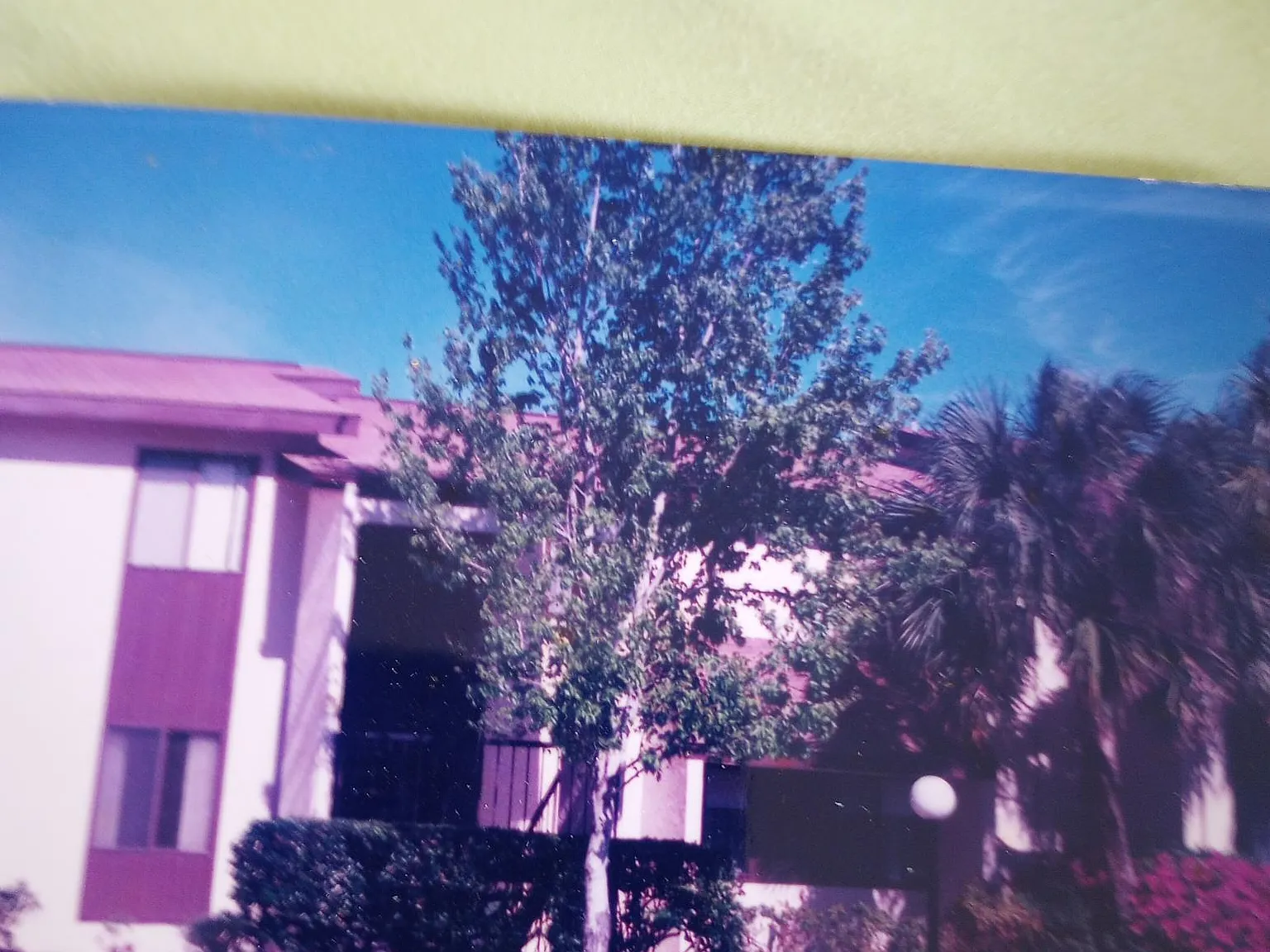 2 bed, 1027 sqft, $1,350 — Photo 3
