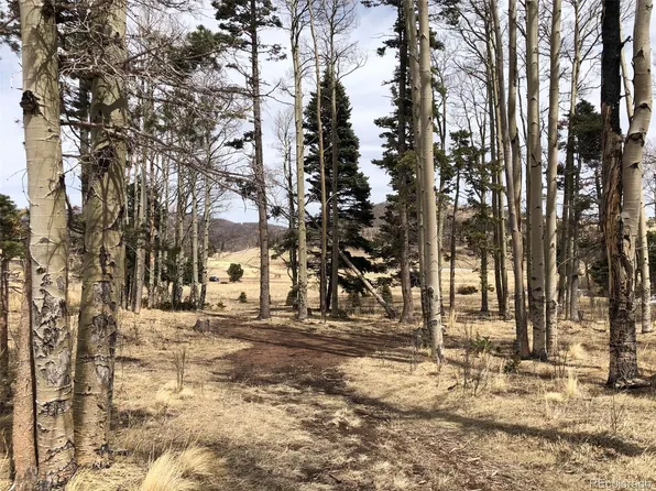 1816-17-18 Forbes Park Road, Fort Garland, CO 81133
