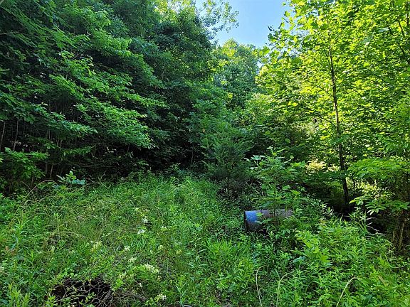 5th image of 6346 State Route 207