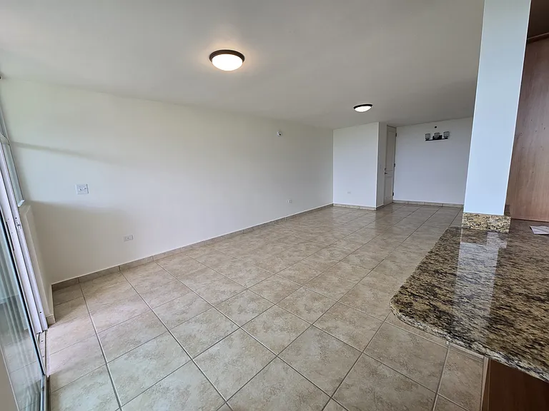450 Highway 844 Cond Buena Vis #1331 — Photo 4