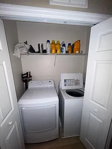 4195 Pitch Pine Circle — Photo 3