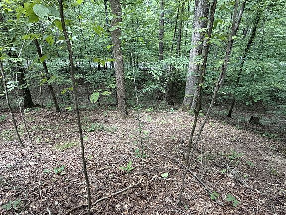 4th image of 0 Deer Creek Rd