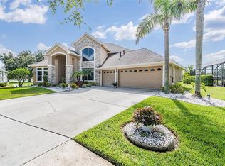 19119 Mandarin Grove Pl, Tampa, FL 33647