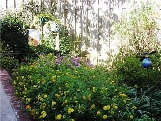 Beautiful English Garden at Patio off Kitchen
