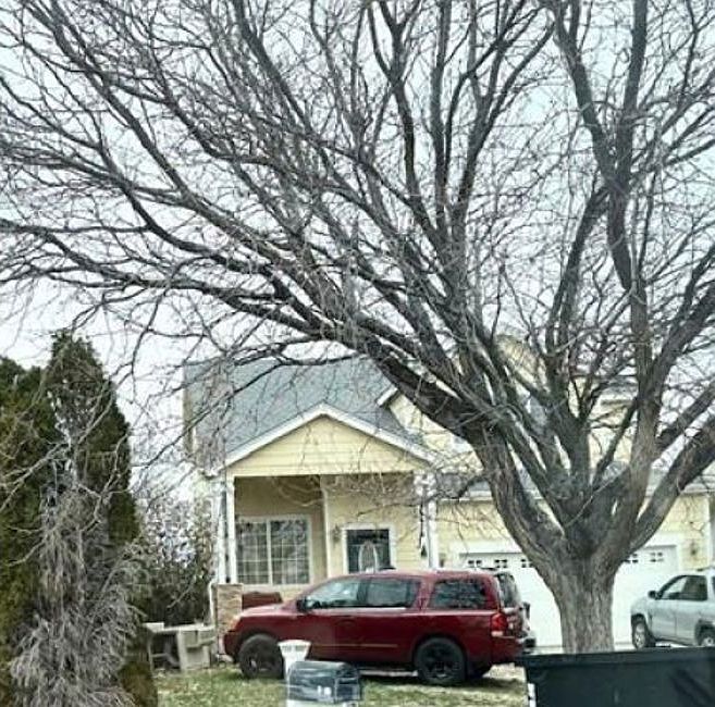 1st image of 3811 Bison Ln