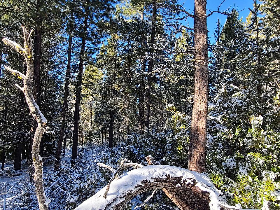 2nd image of 14 Elk Haven Way