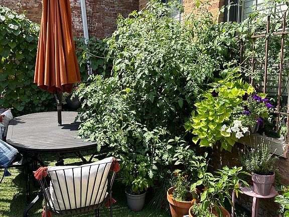 2nd image of 1628 W Pierce Ave APT 1