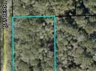 6540 Walnut Ave, Bunnell, FL 32110