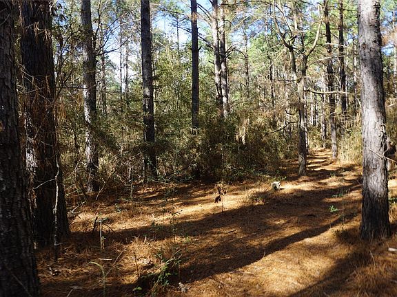 2nd image of 0 County Road 352