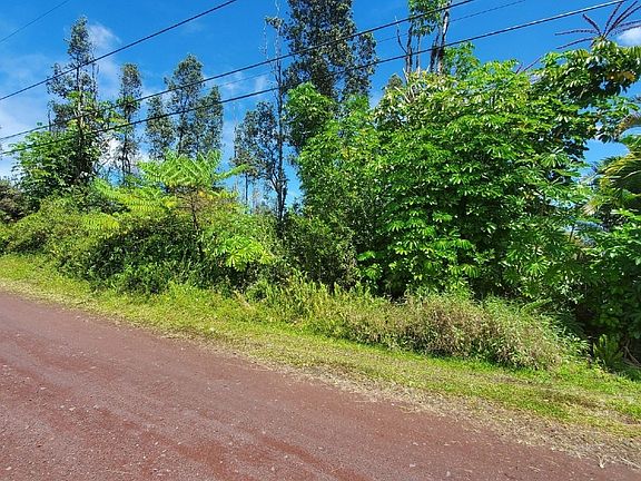 2nd image of Hibiscus Dr Lot 33