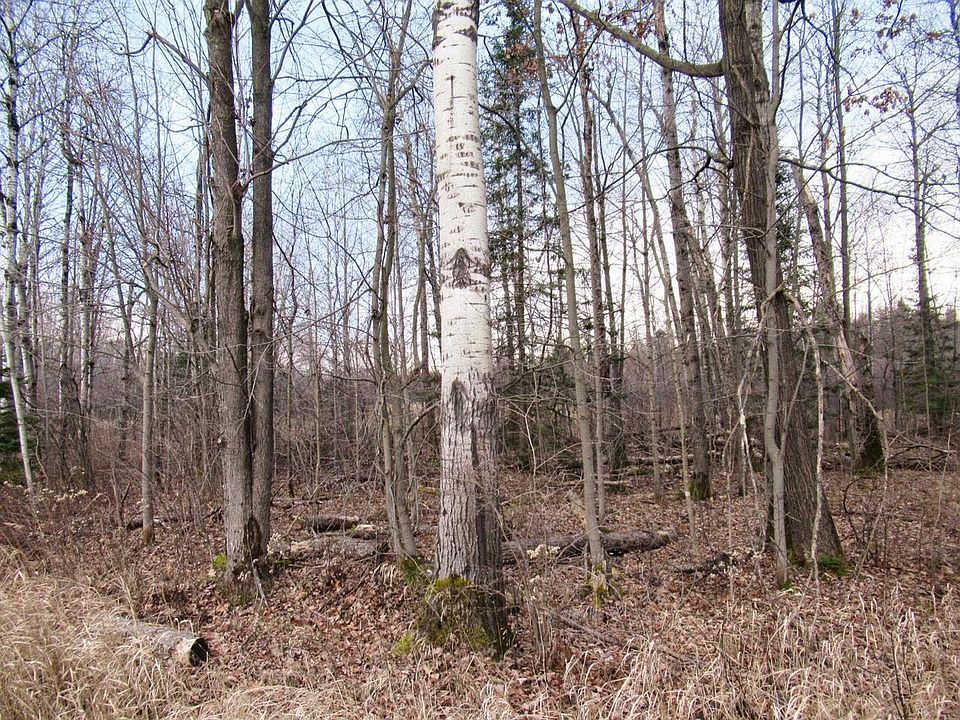 1st image of +/-43.87 Acres STATE HIGHWAY 64