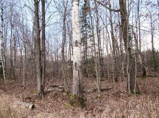 /state Hwy #64, Medford, WI 54451