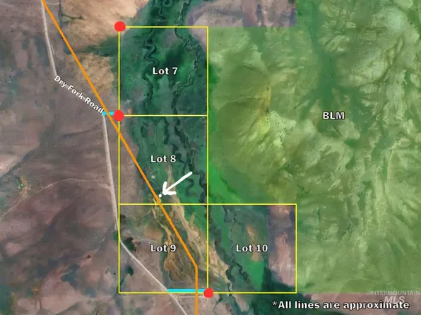 LOT 8 Dry Fork Rd, Moore, ID 83255