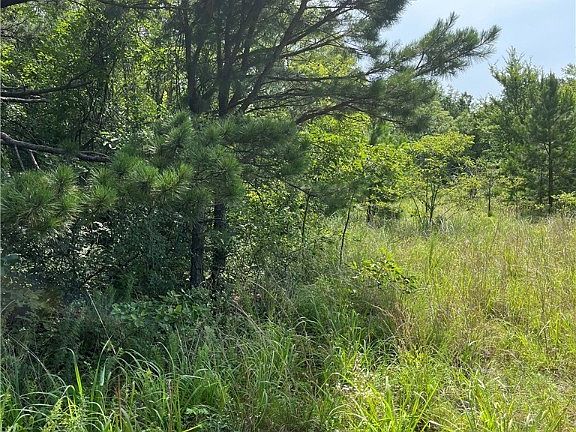 5th image of TRACT 1 E 1090th Rd