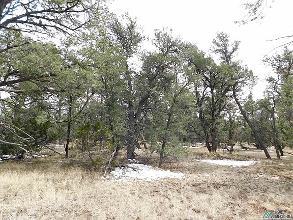 4th image of 8 Branding Iron Rd