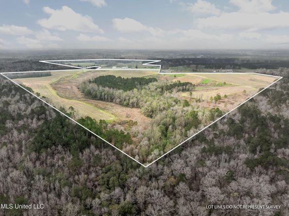 /hwy #532, Mount Olive, MS 39119