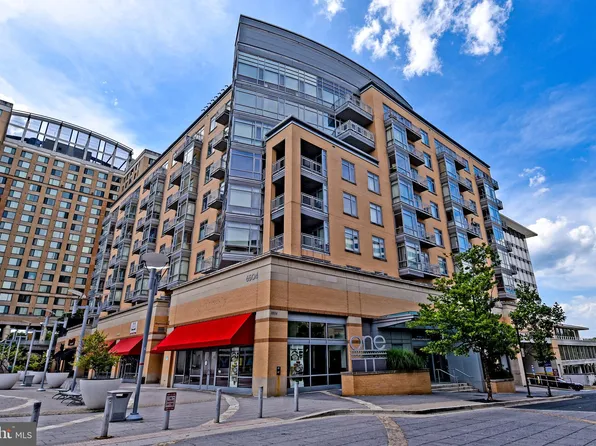 6506 America Blvd APT 807, Hyattsville, MD 20782