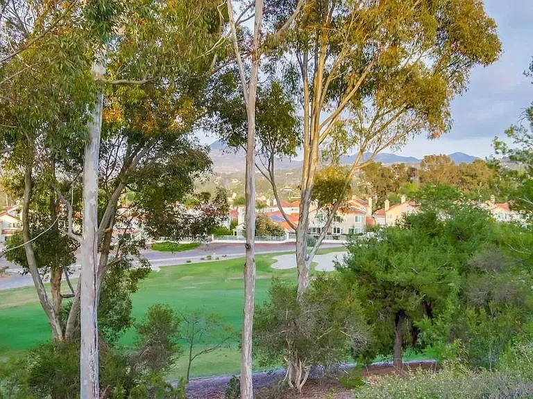 12242 Paseo Lucido #12242C — Photo 45