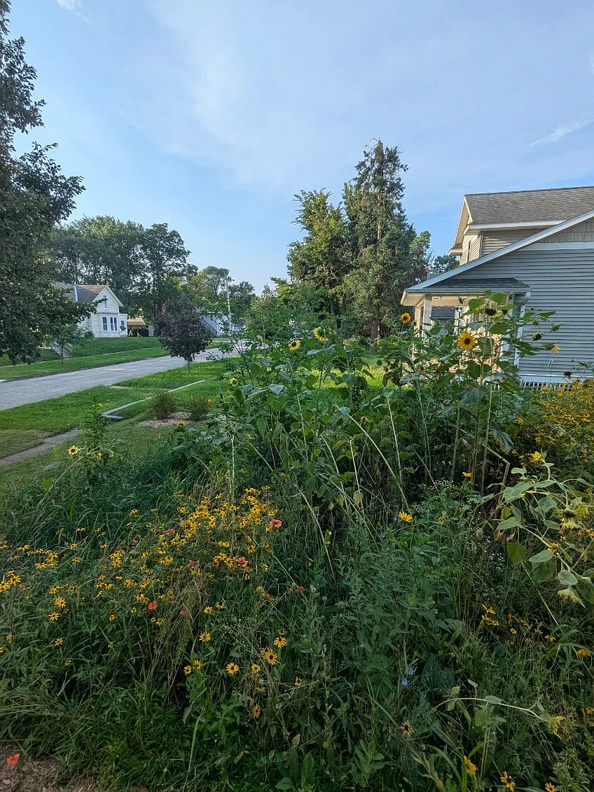 3 bed, 1735 sqft, $1,950 — Photo 4