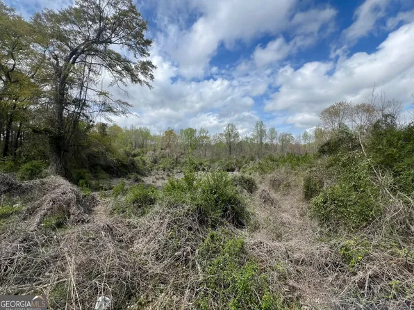 1029 County Road 474, Lafayette, AL 36862