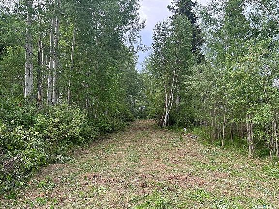 2nd image of 2 Canoe ROAD