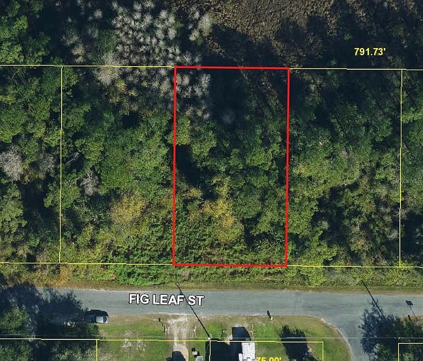 2nd image of Fig Leaf St Lot 30