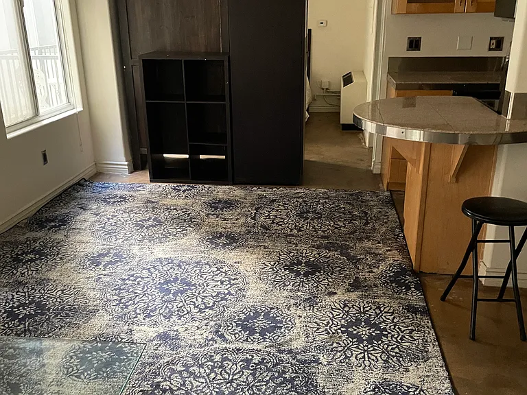 312 W 5th St #1016A — Photo 14