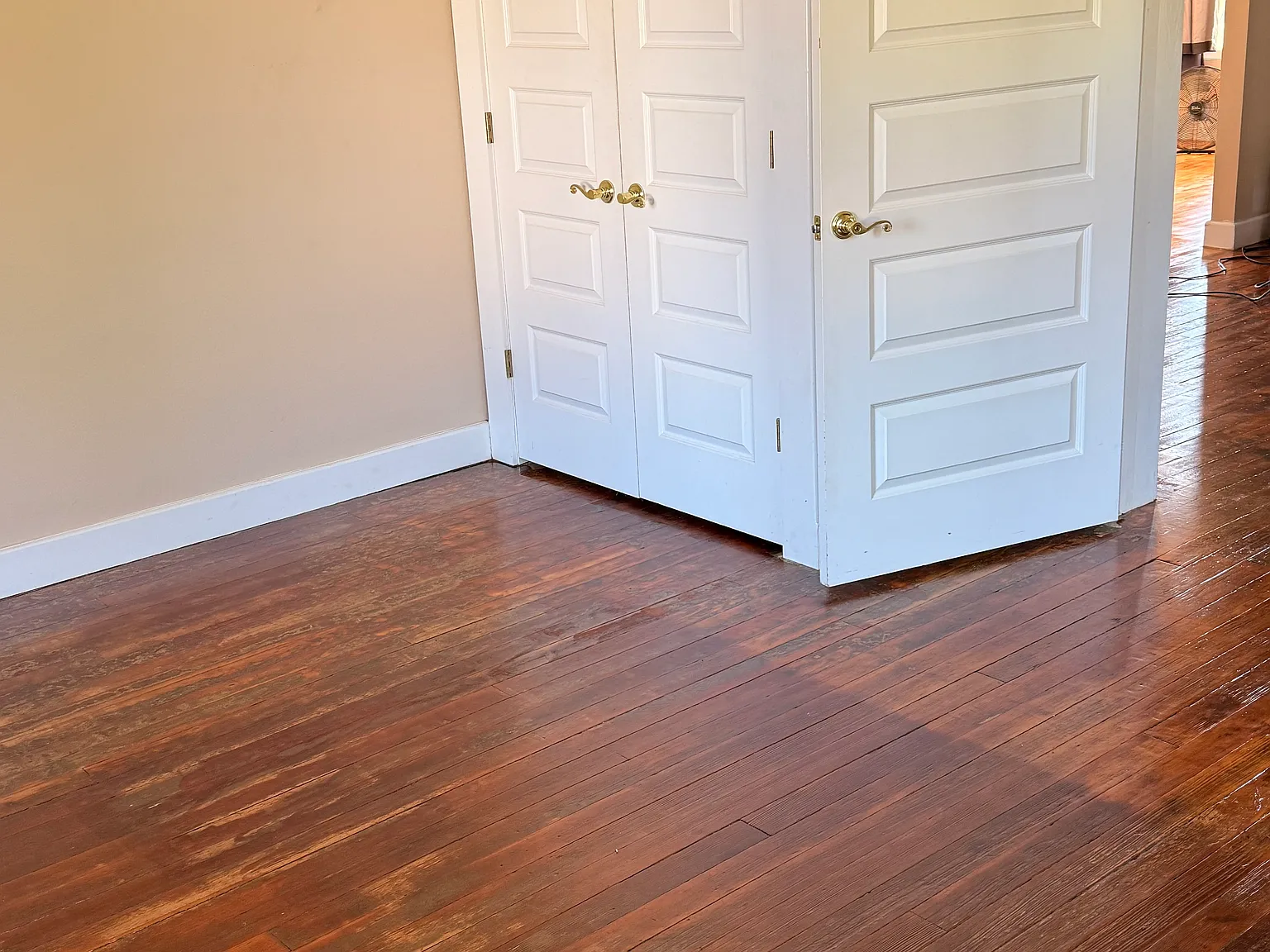 1 bed, 900 sqft, $1,100 — Photo 4