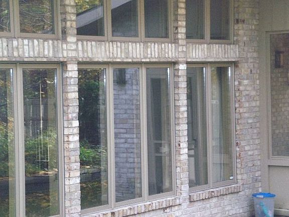 Back Window