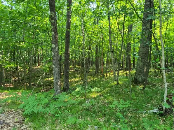 12 Willies Dr, Woodruff, WI 54568