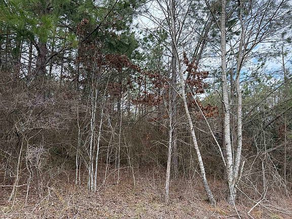 5th image of 3 Pyburn Dr