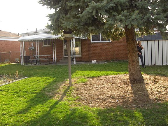 Back yard