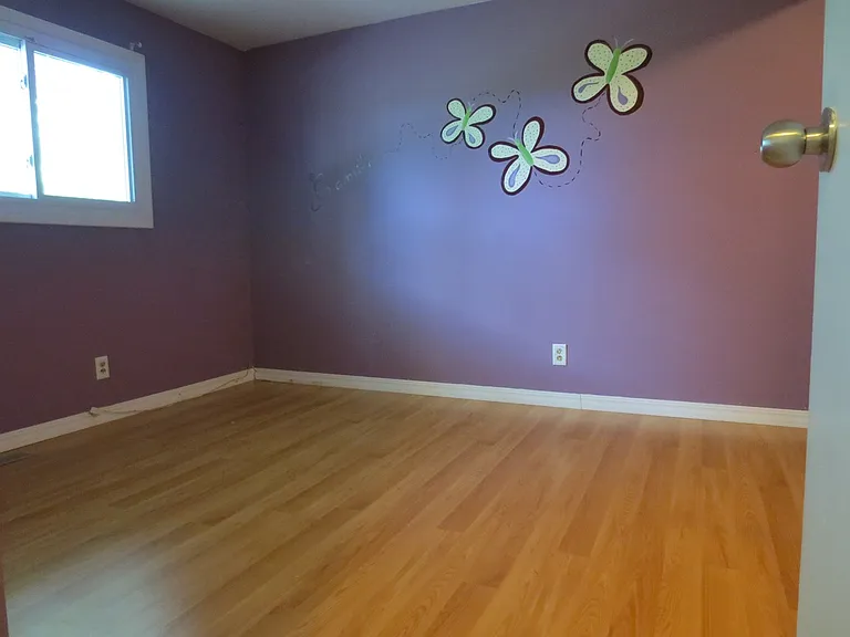 421 Colony Ct — Photo 4