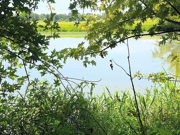 2nd image of 8001 Cainsville Rd Lot 8