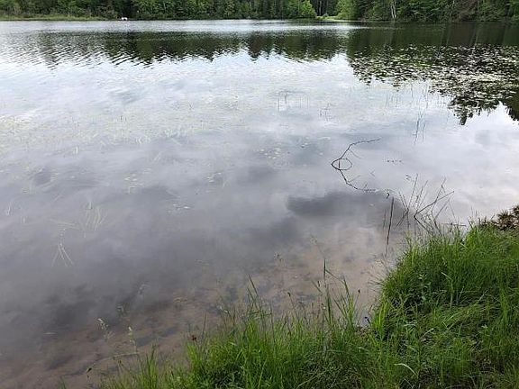 2nd image of 7784 W Nokomis Dr