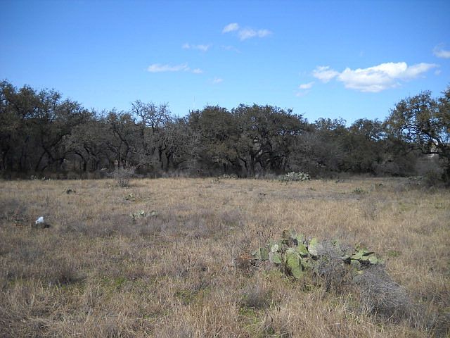 1st image of 169 Western Oaks