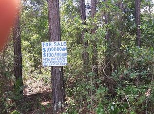 4343 Evergreen Ave, Bunnell, FL 32110